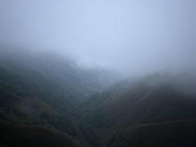 IMG_1417.jpg
