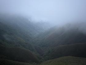 IMG_1418.jpg