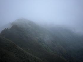 IMG_1419.jpg