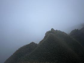 IMG_1420.jpg