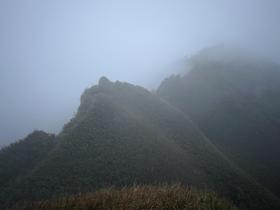 IMG_1421.jpg