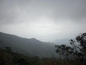 IMG_1447.jpg