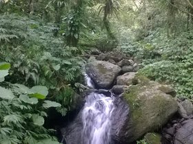 WP_20160730_12_35_57_Pro.jpg