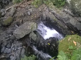 WP_20160730_12_36_06_Pro.jpg