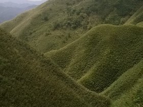 WP_20160730_13_58_04_Pro.jpg