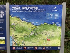 IMG_5881.JPG