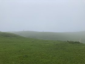 IMG_5884.JPG
