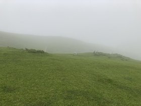 IMG_5885.JPG