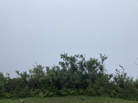 IMG_5907.JPG