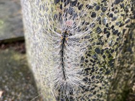 IMG_6020.JPG