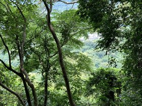 IMG_6117.JPG
