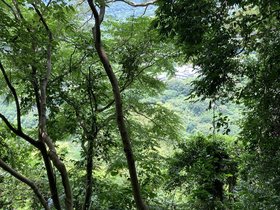 IMG_6118.JPG