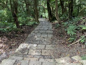 IMG_6154.JPG