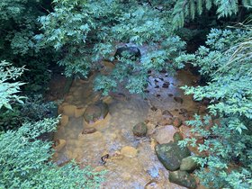 IMG_6472.JPG