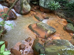 IMG_6485.JPG