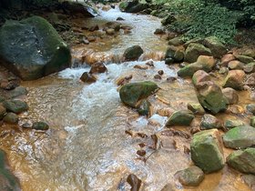 IMG_6487.JPG