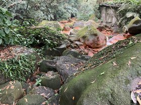 IMG_6489.JPG