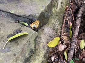IMG_6524.JPG