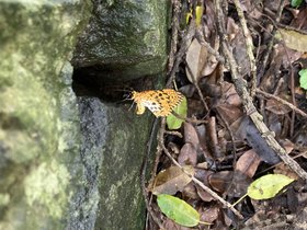 IMG_6525.JPG
