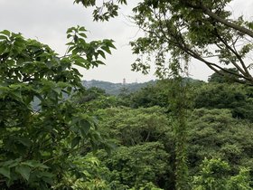 IMG_6529.JPG