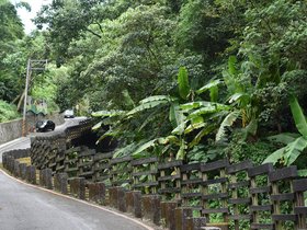 DSC_0769.JPG