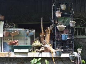 DSC_0772.JPG