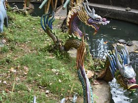 DSC_0883.JPG