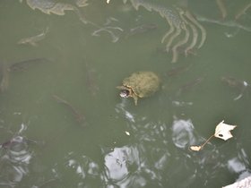 DSC_0885.JPG