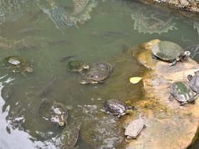 DSC_0886.JPG