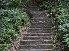 DSC_0889.JPG