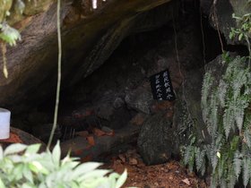 DSC_0893.JPG