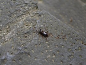 DSC_0898.JPG