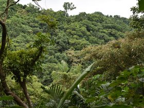 DSC_0908.JPG