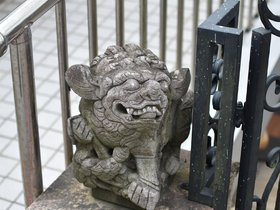 DSC_0912.JPG