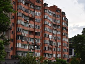 DSC_0919.JPG
