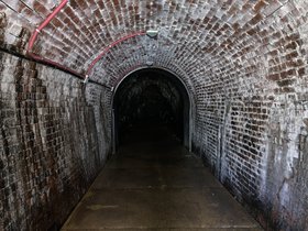 IMG_7167.JPG