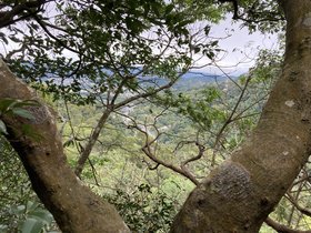 IMG_2864.JPG