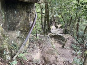IMG_2868.JPG