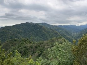 IMG_2913.JPG