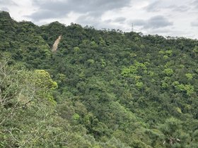 IMG_2925.JPG