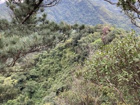 IMG_2927.JPG