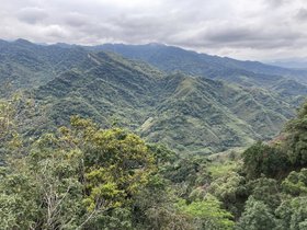IMG_2984.JPG