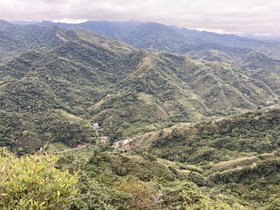 IMG_3006.JPG
