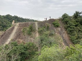 IMG_3008.JPG