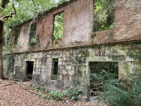 IMG_3071.JPG
