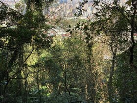 IMG_6274.JPG