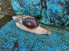 IMG_5651.JPG