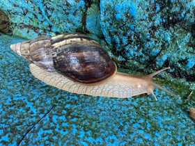IMG_5653.JPG