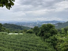 IMG_5655.JPG