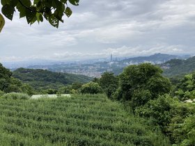 IMG_5656.JPG